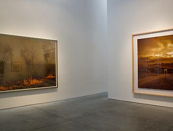 exhibition Great Photographs: Scape thumbnail